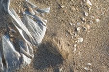The Plastic Side of The Sea